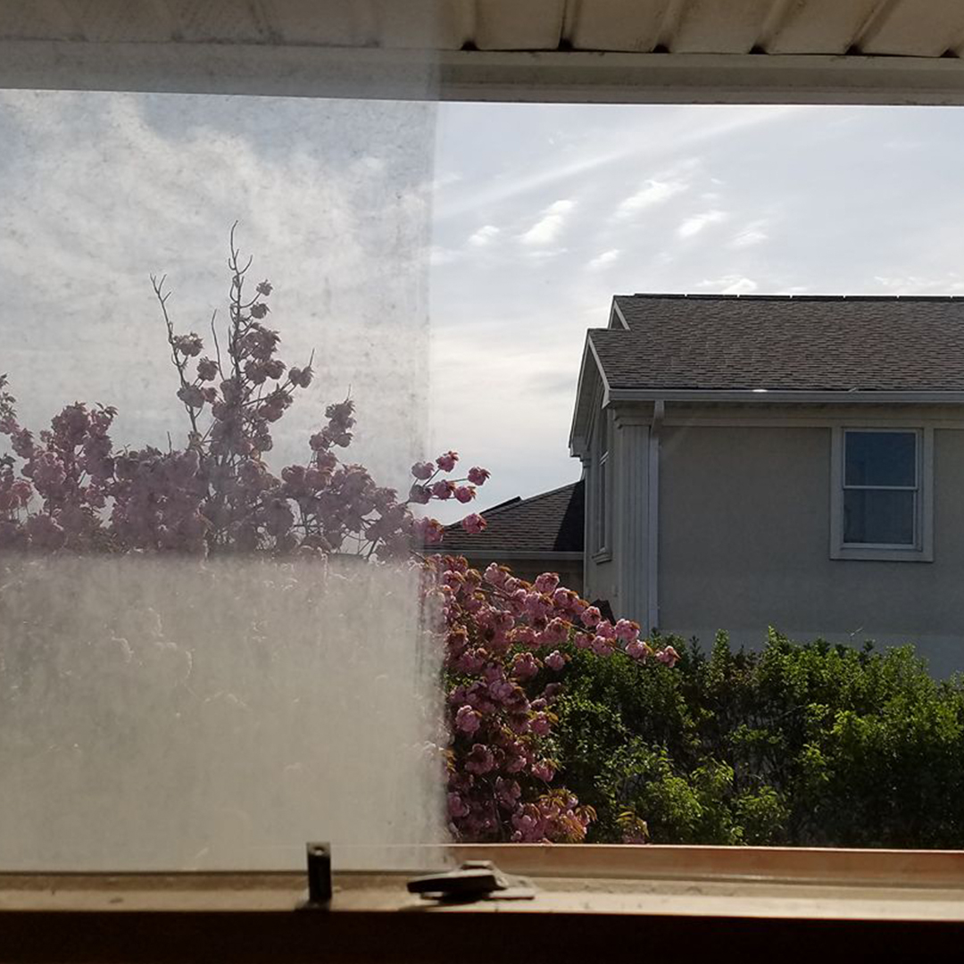 SWCAM_0000s_0001_19223011_313302485776297_3203775703284233473_o